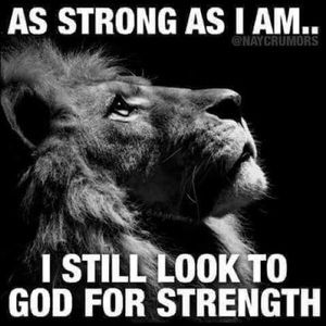 Meet your Posher, Jjermart